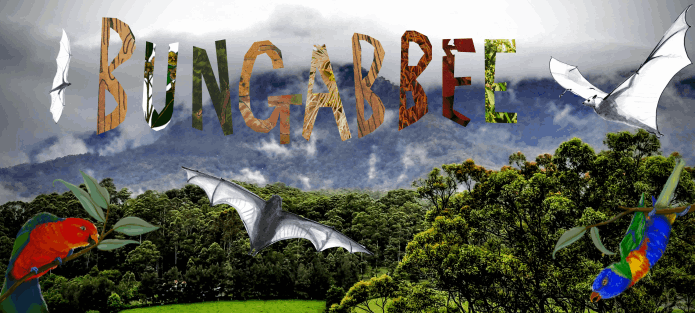 Introduction to the Story - Abi Andrews