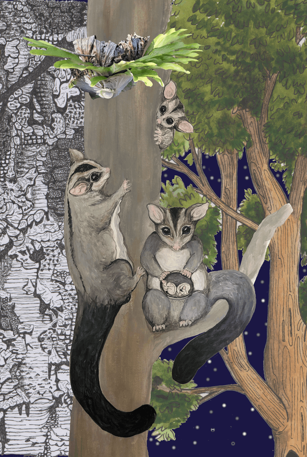 The glider family meet - Abi Andrews