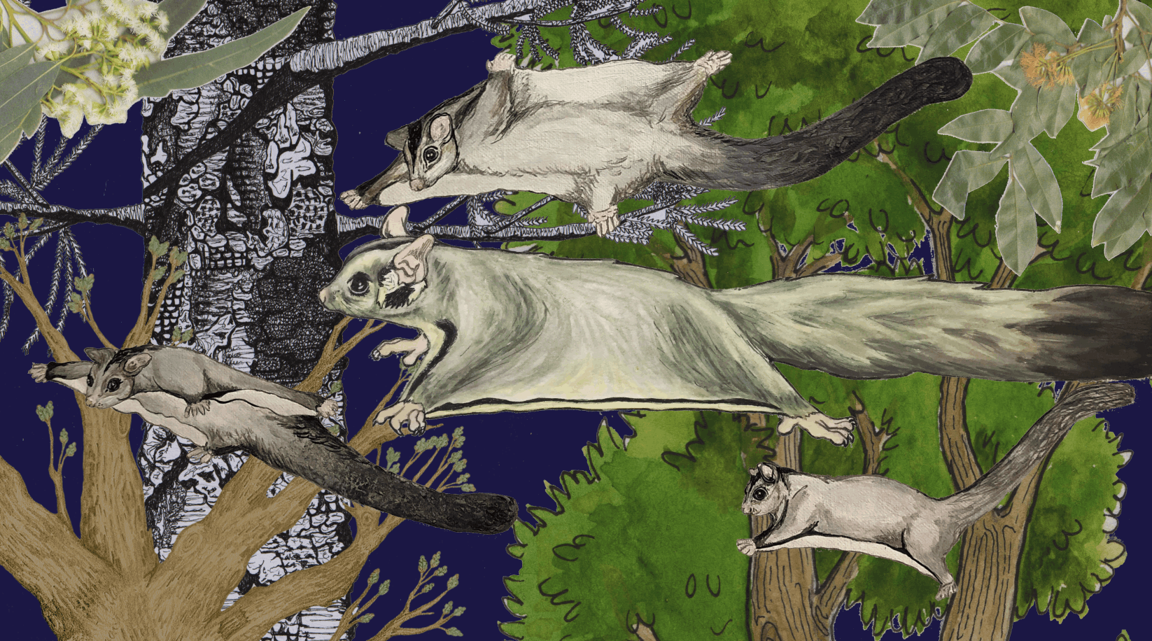 Gliding from tree to tree - Abi Andrews