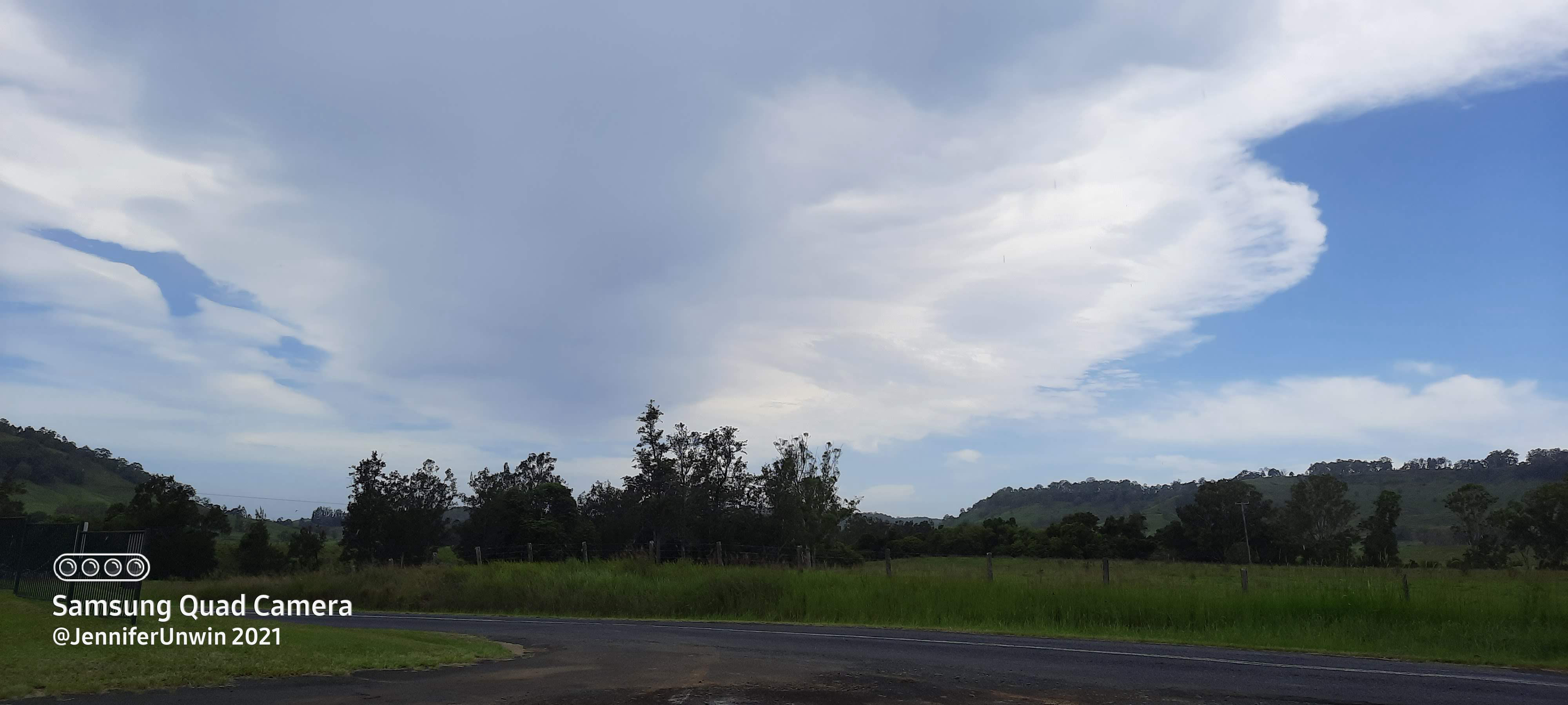 Bungabbee - Jenny Unwin