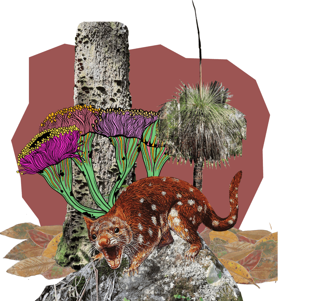 Quinn makes a special appearance - Abi Andrews