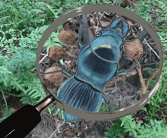 Sheldon shows herself - Abi Andrews