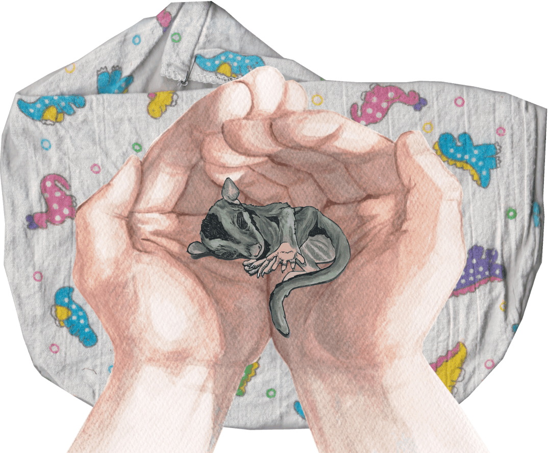 Acacia is rescued by caring humans - Abi Andrews