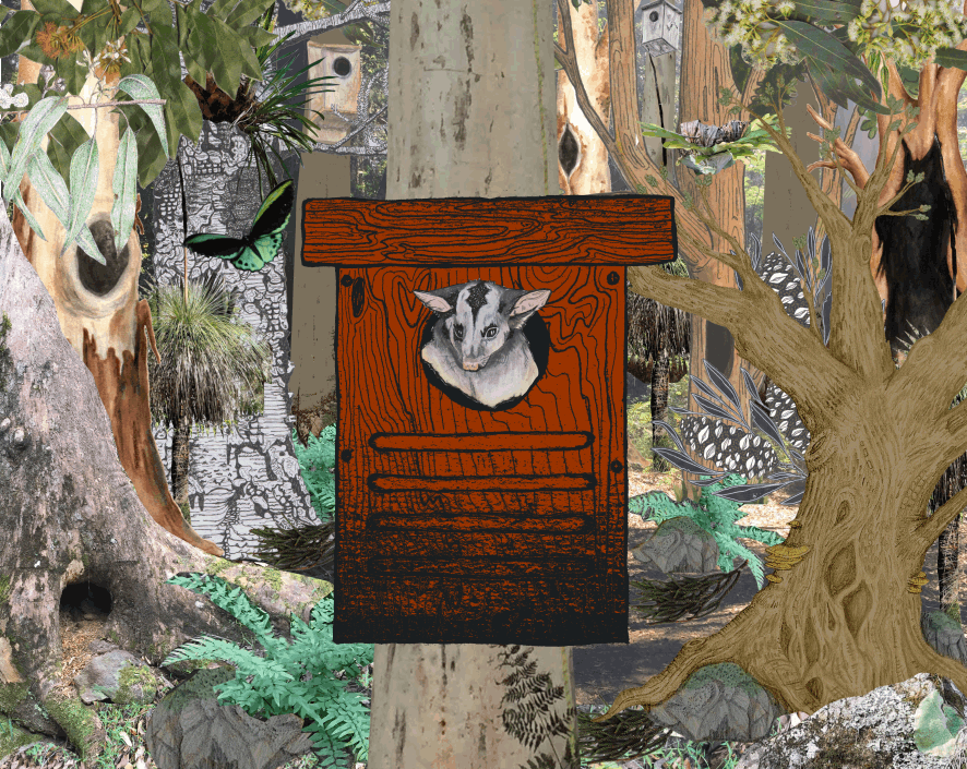 Acacia lives happily in the forest - Abi Andrews