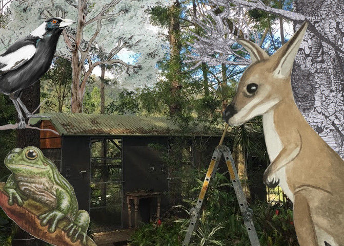 Acacia moves to a bigger home - Abi Andrews