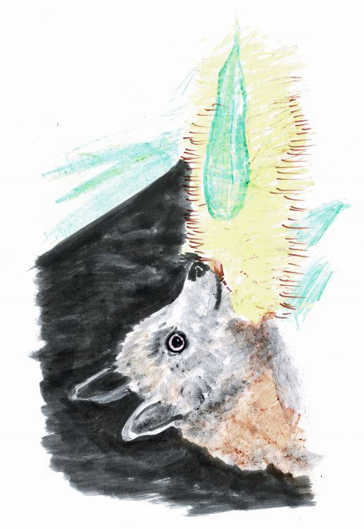 Flying Fox - Alice Deschilder