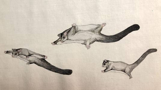 Glider Family 2 - Emmeline Eastwell