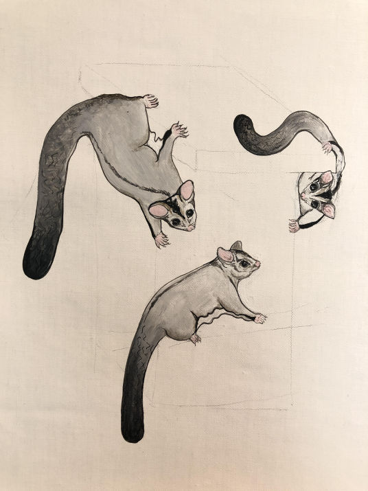 Glider Family 3 - Emmeline Eastwell