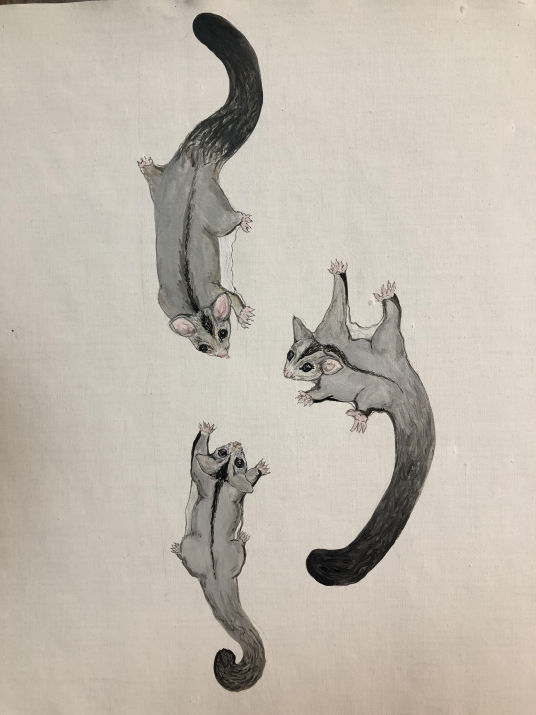 Glider Family 1 - Emmeline Eastwell