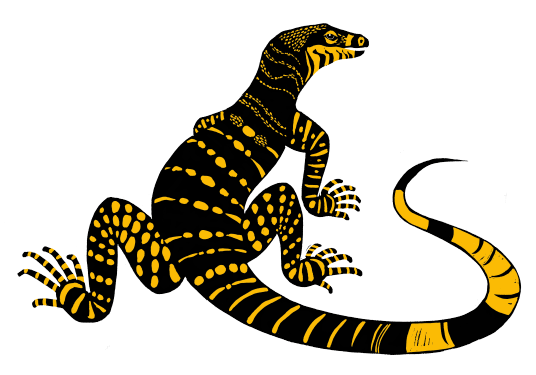 Goanna - Donna Crotty