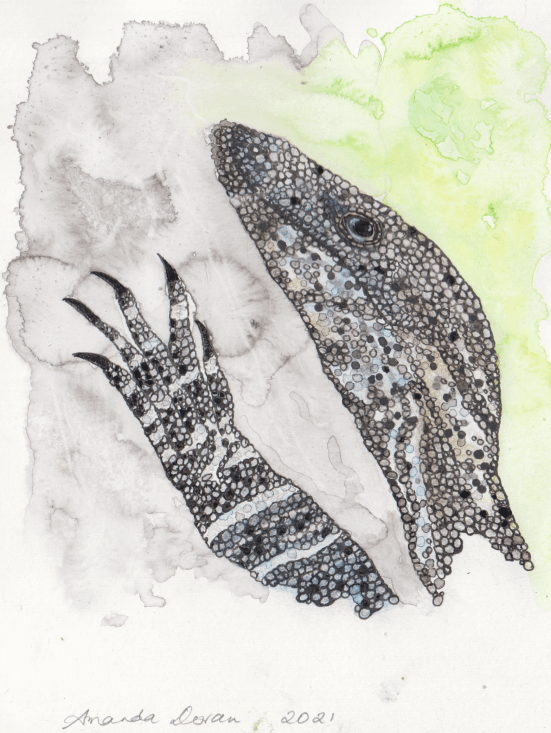 Goanna - Amanda Doran