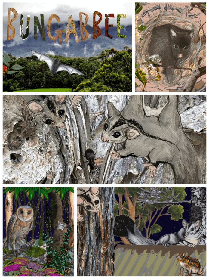 Abi's Collage Gallery