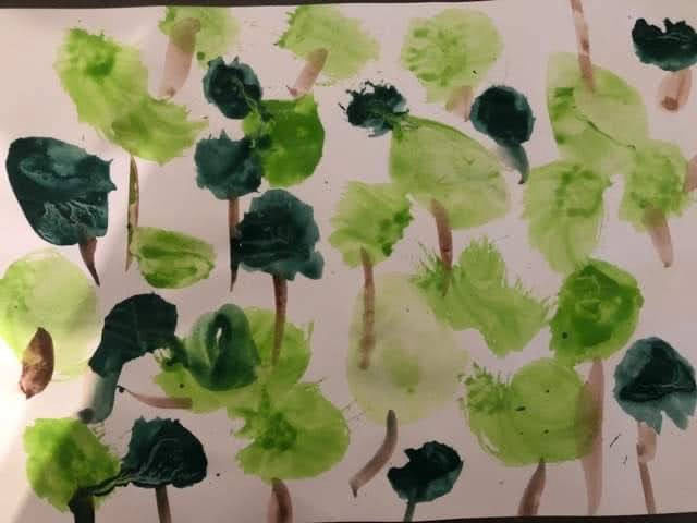 Addison - Rainforest