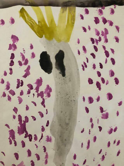 Addison - Sulphur Crested Cockatoo