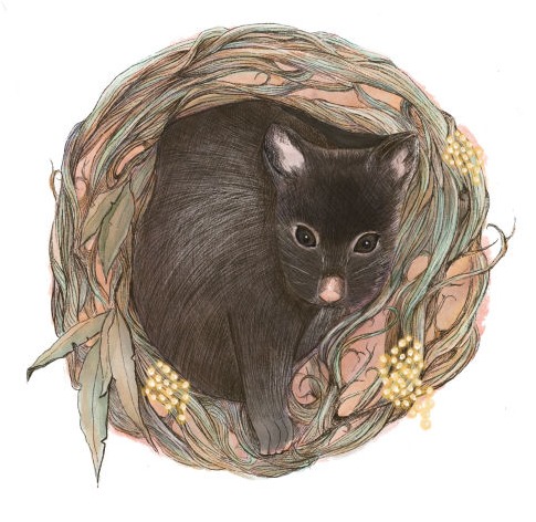 Mountain Brushtail Possum - Kristy Hampson