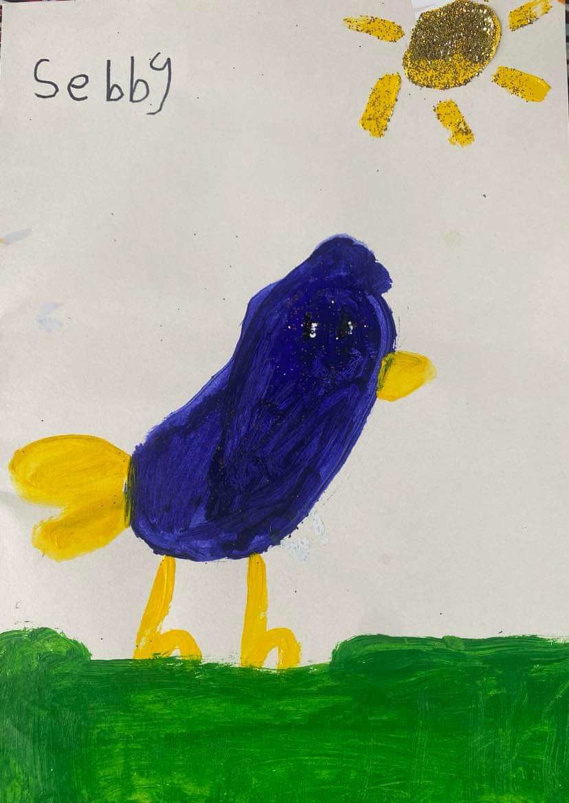 Blue Wren - Sebby