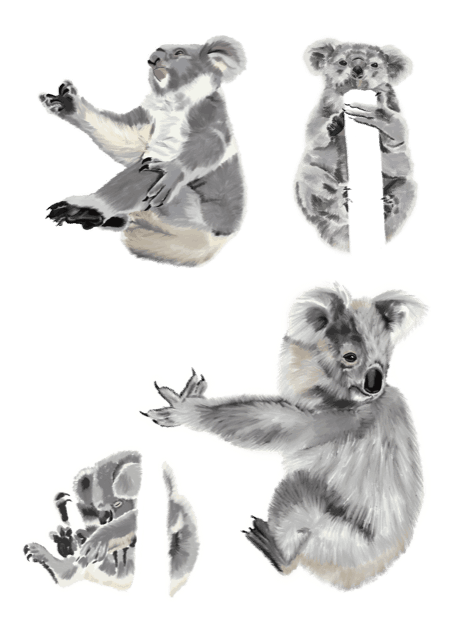 Koalas - Natalie Herington