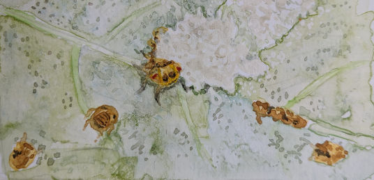 Lerps - Amanda Doran