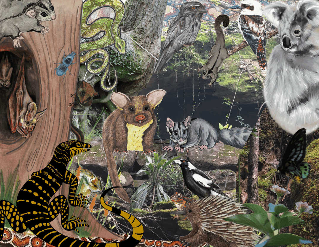 The meeting in the forest - Abi Andrews