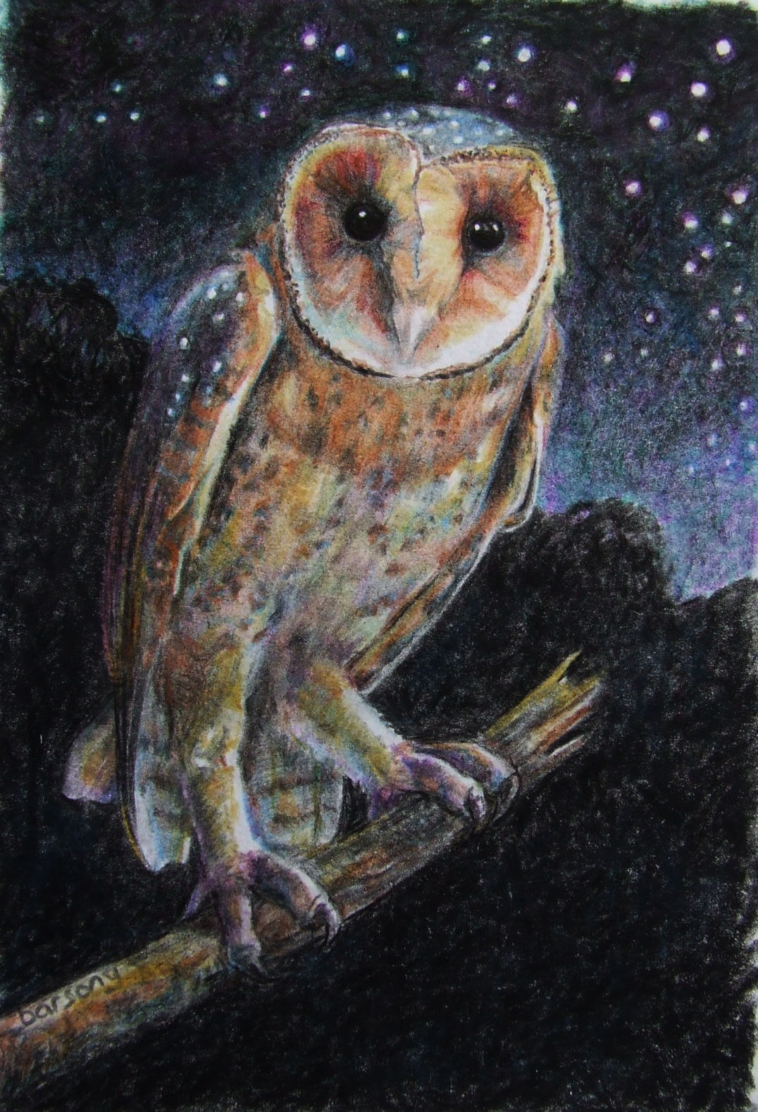 Masked Owl - Melanie Barsony