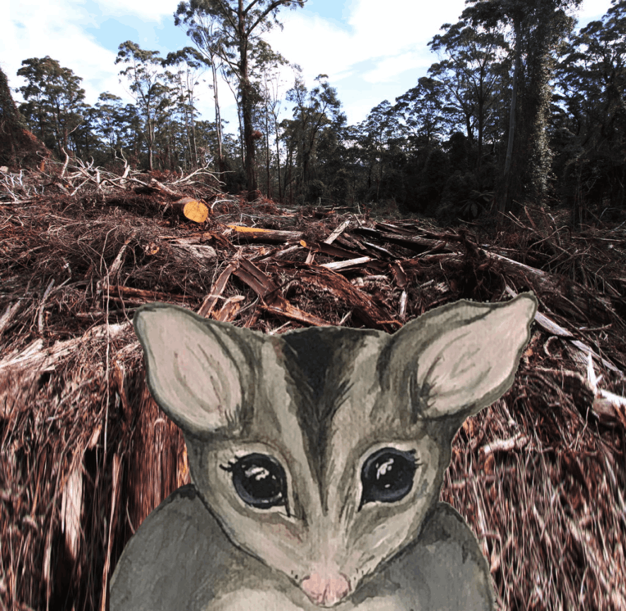 Have the loggers come? - Abi Andrews