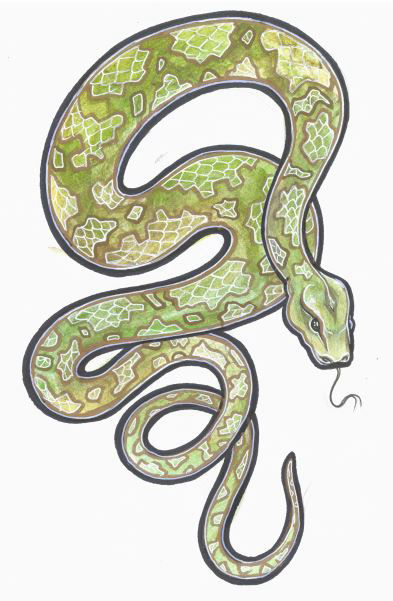 Python - Beki Davies