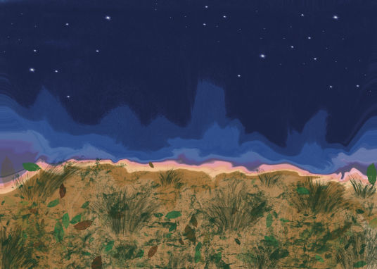 Night Sky - Natalie Herington